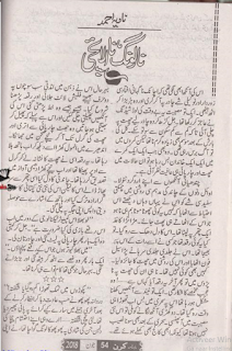  Na laung na ilaichi by Nadia Ahmed Online Redading