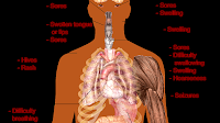 Tramadol 50 Mg Side Effects