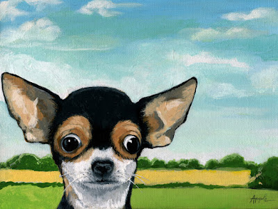 http://www.applearts.com/content/whats-going-chihuahua-dog-portrait