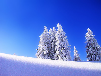 Winter wallpapers