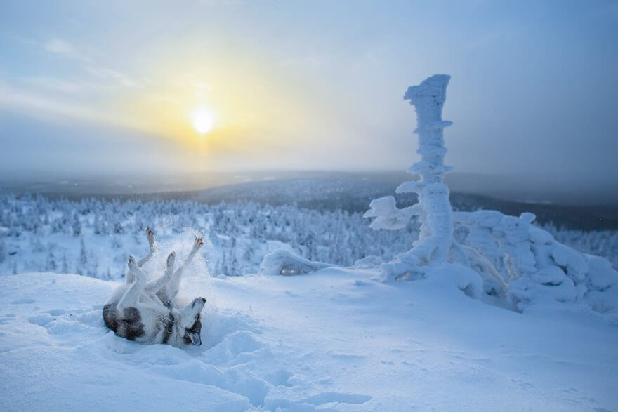 34 Reasons Why Lapland Is The Most Mythical Place To Celebrate Christmas