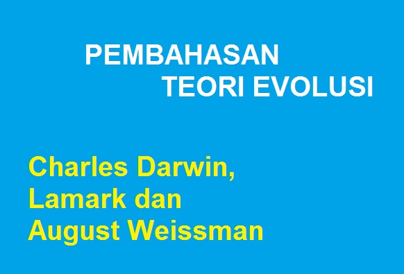 SEBUTKAN PERSAMAAN DAN PERBEDAAN TEORI EVOLUSI MENURUT CHARLES DARWIN,LAMARK DAN AUGUST WEISSMAN