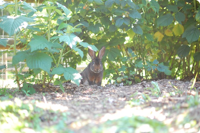 DSC_0749 DSC_0749