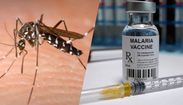 WHO announces funding to roll-out for first-ever malaria vaccine in Africa