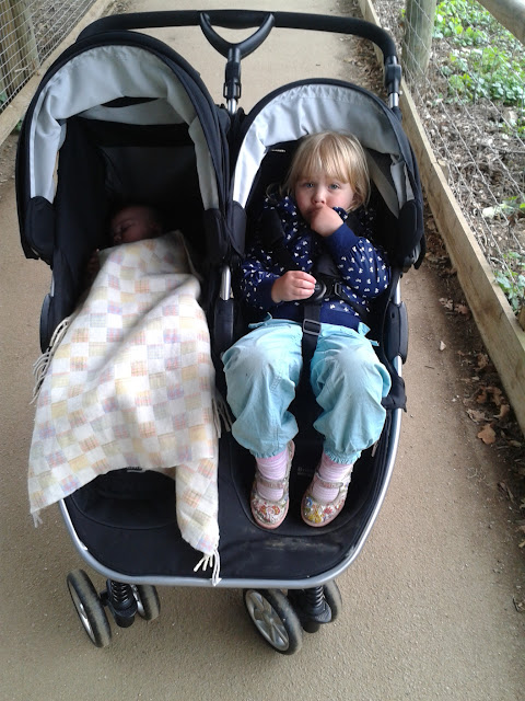 B-Agile Double Buggy