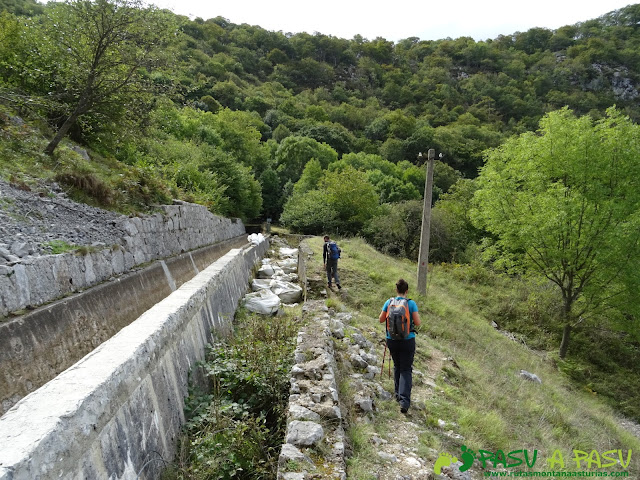 Canal de Reñinuevo: Zona sobre pradera