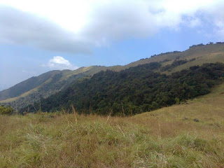 Paithalmala, Kannur