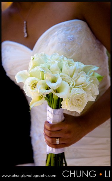 ashley antonio wedding lafayette park hotel and spa