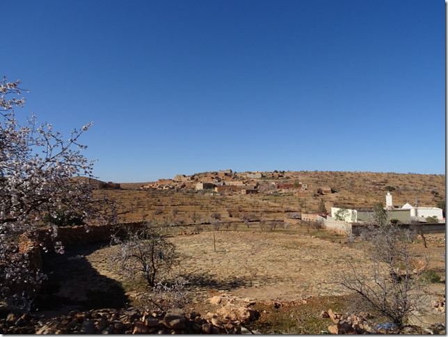 02-DSC03802