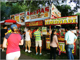 Día de la Independencia 2015: Boston Esplanade