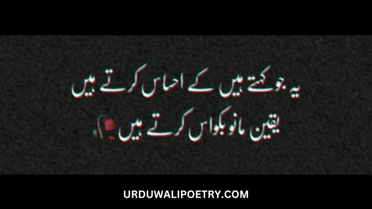 Attitude Poetry in Urdu 2 lines for Boy sms | Killer attitude poetry in Urdu 2 lines for boy sms