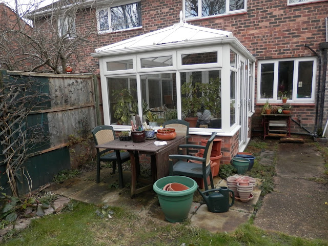 Garden March 2016. Planting peppers, potatoes and a new greenhouse. secondhandsusie.blogspot.com #garden #gardening #ukgardenblogger