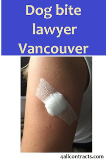 dog bite lawyer vancouver, dog bite lawyer vancouver, dog bite lawyer vancouver, dog bite lawyer washington, best dog bite lawyer, 