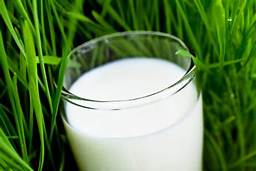 raw milk for exfoliates