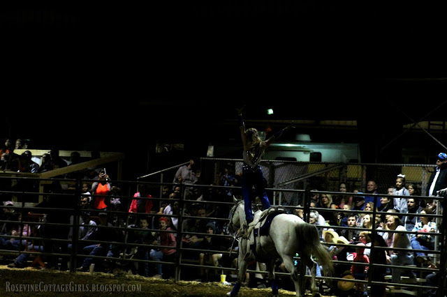 #rodeo #cowgirls #trickriders #horses