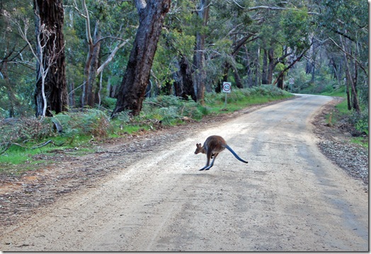 Grampians 4