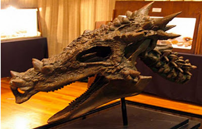 Dracorex hogwartsia,