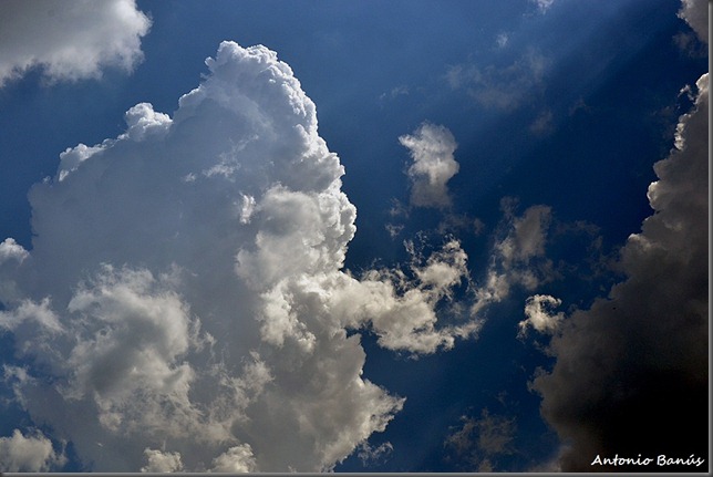 2 DSC_1906X1