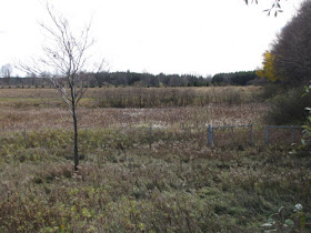 fenced wetland