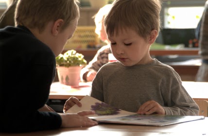 namc montessori studying zoology lower elementary vertebrate animals two boys reading together