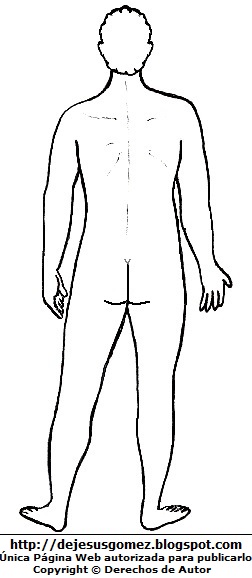 Dibujo del cuerpo humano del hombre para colorear, pintar e imprimir (Vista posterior o Vista Dorsal o detrás). Dibujo del cuerpo humano de Jesus Gómez