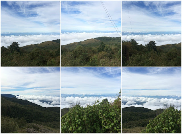 O que ver e fazer em Campos do Jordão? Pico do Itapeva