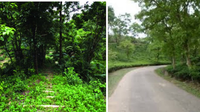 Khadim Nagar National Park