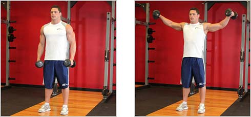 Fitness and bodybuilding: Programs