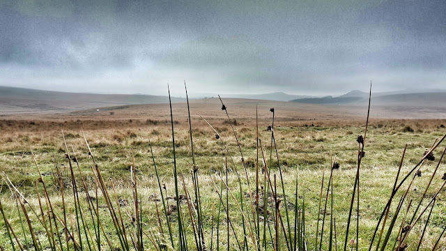 Project 366 2016 #43 day 301 - Dartmoor // 76sunflowers