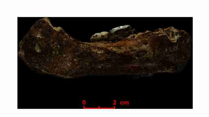 First hominins on the Tibetan Plateau were Denisovans