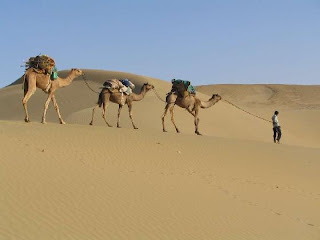 Rajasthan Holiday Tour