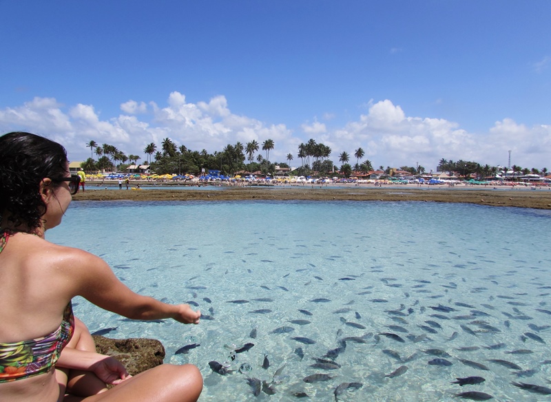 Tudo sobre as Piscinas Naturais de Porto de Galinhas