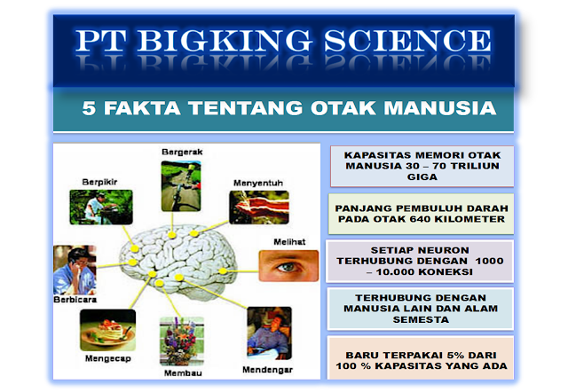 http://www.brain-king-plus.com/ >> 08123 01 8900 <,