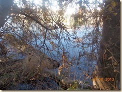 DSCN1372