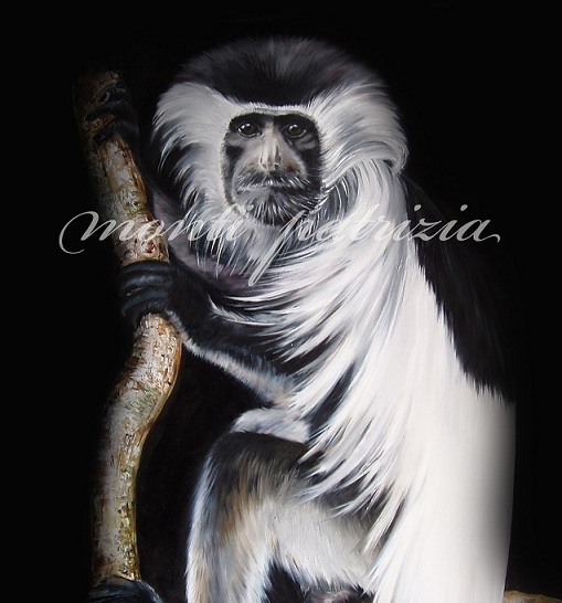 Particolare "ritratto di scimmia" (Colobus guereza) ad olio su tela