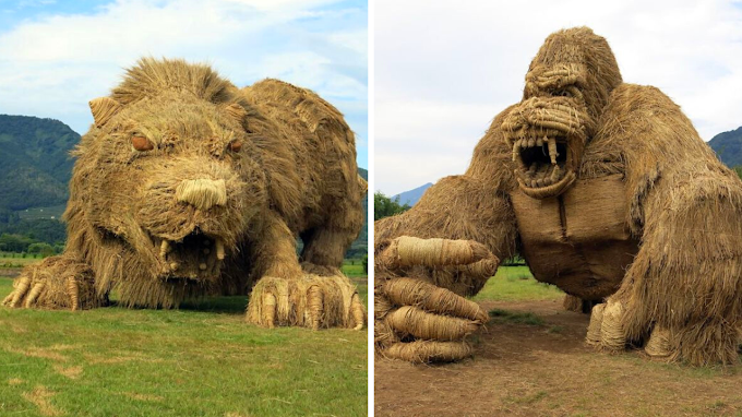 Huge straw sculptures are made every year in Japan during the Wara Art Festival