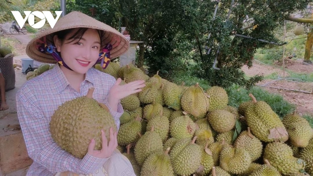 Cận Tết, giá sầu riêng <a href=