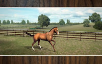 Blog Safari club, juego android My horse