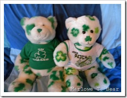 tn_2010-03-05 Bear Holiday St Patrick Saeren Sheridan