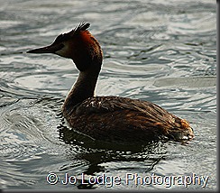 IMG_5065