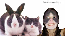 bicharada é fixe!