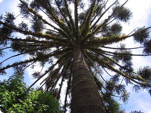 Parque provincial Cruce Caballero