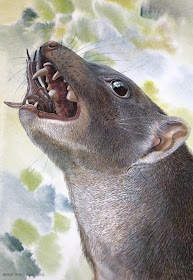  Fossil remains of a previously unknown menage unit of measurement of carnivorous Australian marsupials that 50 Researchers uncovering remains of bizarre grouping of extinct snail-eating marsupials