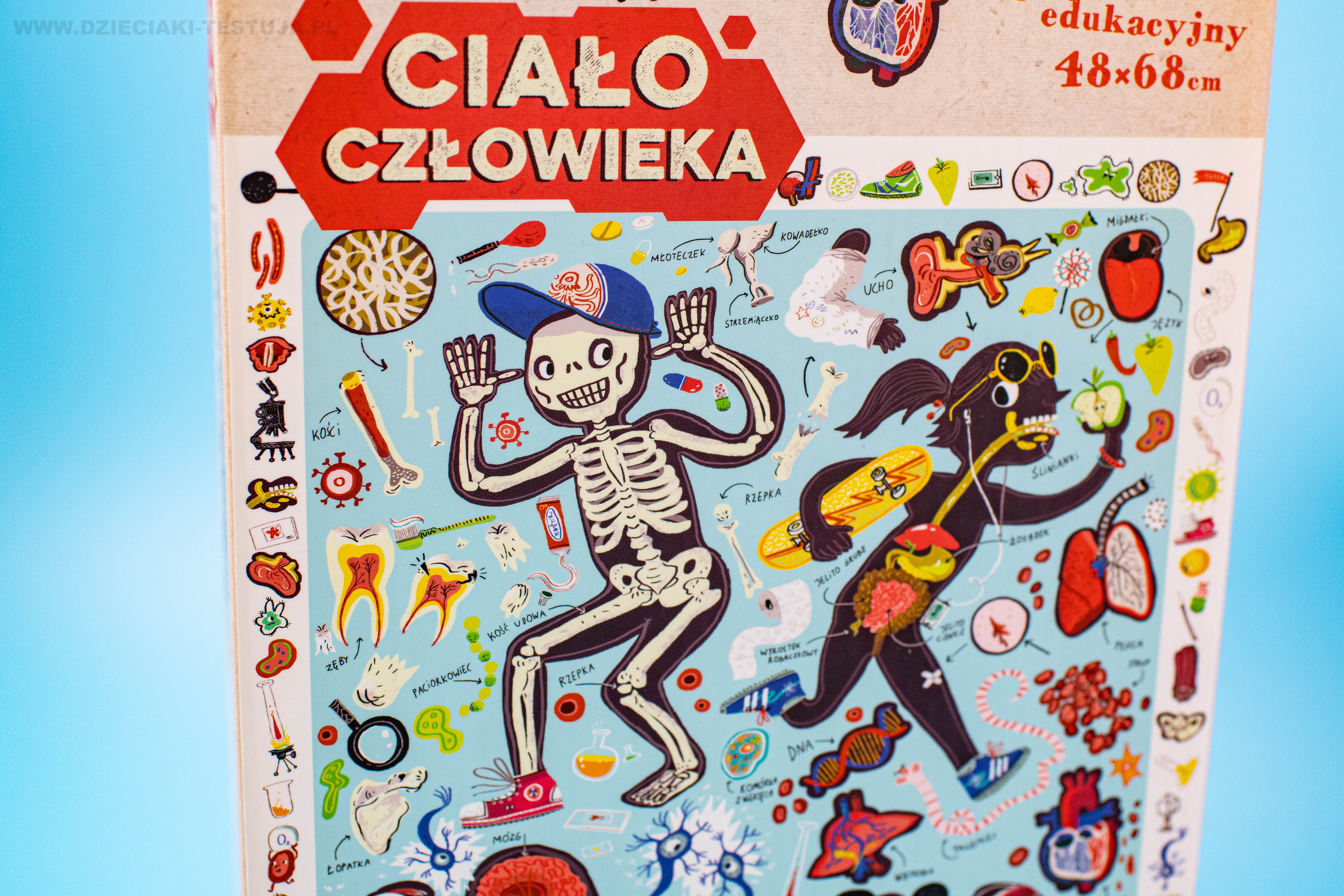 Puzzle obserwacyjne ciało człowieka