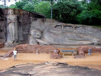 Ayutthaya Buddha Head