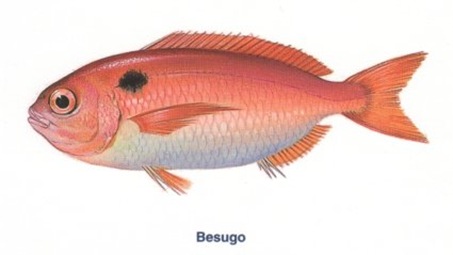 besugo