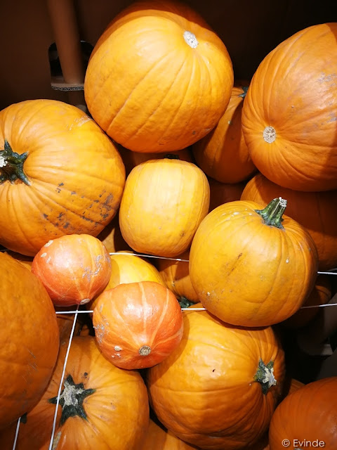 pumpkins