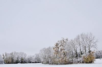 autumn landscape in the snow and mist