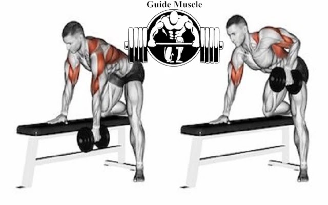 Dumbbell Row with One Arm