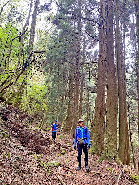 樂山鐵道